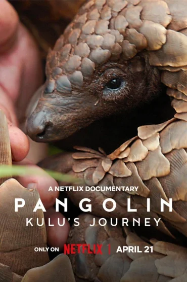 Pangolin: Kulu'nun Yolculuğu